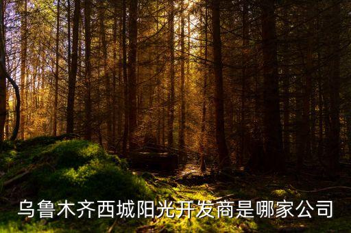 烏魯木齊西城陽(yáng)光開發(fā)商是哪家公司