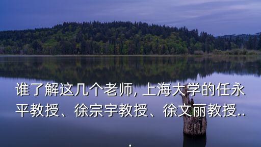 誰了解這幾個老師, 上海大學(xué)的任永平教授、徐宗宇教授、徐文麗教授...