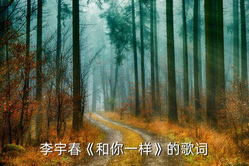 李宇春《和你一樣》的歌詞