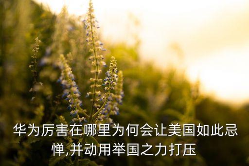  華為厲害在哪里為何會(huì)讓美國如此忌憚,并動(dòng)用舉國之力打壓