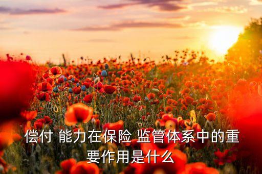  償付 能力在保險 監(jiān)管體系中的重要作用是什么