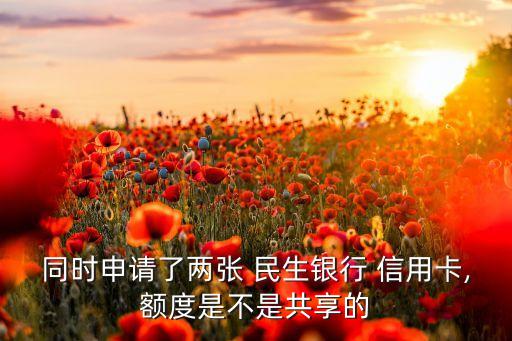 同時(shí)申請(qǐng)了兩張 民生銀行 信用卡,額度是不是共享的