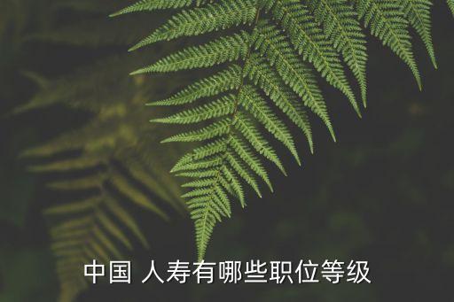 中國(guó) 人壽有哪些職位等級(jí)