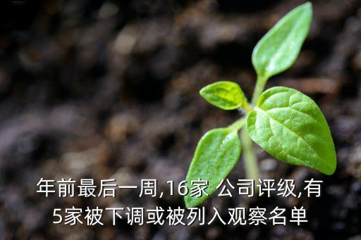 年前最后一周,16家 公司評級,有5家被下調(diào)或被列入觀察名單