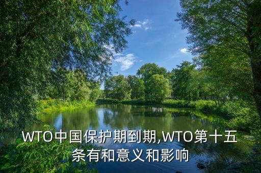 WTO中國(guó)保護(hù)期到期,WTO第十五條有和意義和影響