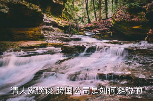 跨國投資集團(tuán)稅務(wù)管理的主要關(guān)注點(diǎn)