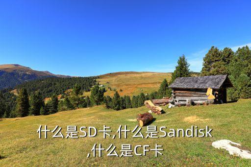 什么是SD卡,什么是Sandisk,什么是CF卡