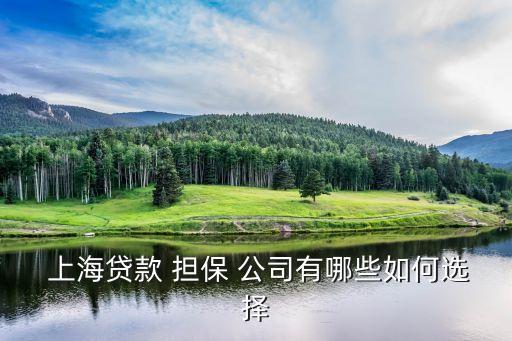 上海最大的擔(dān)保公司