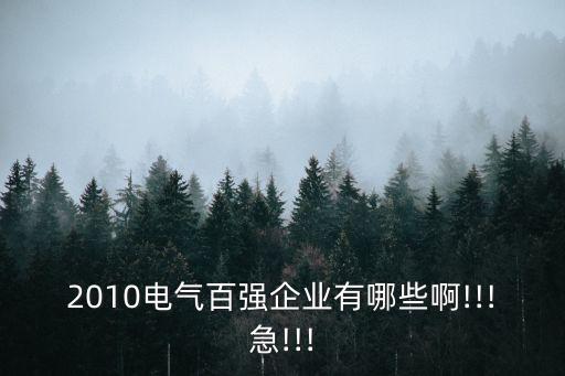 2010電氣百強企業(yè)有哪些啊!!!急!!!