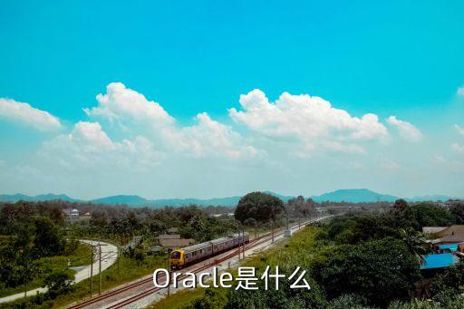 Oracle是什么