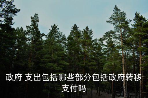 政府 支出包括哪些部分包括政府轉(zhuǎn)移支付嗎