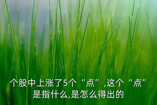 個(gè)股中上漲了5個(gè)“點(diǎn)”,這個(gè)“點(diǎn)”是指什么,是怎么得出的