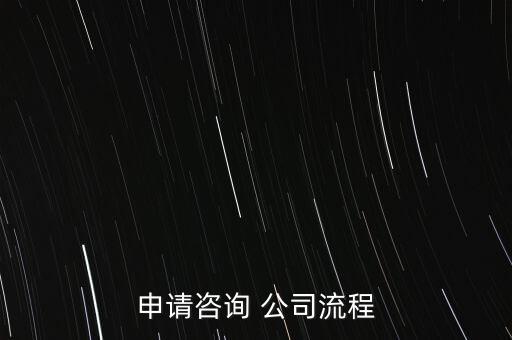 申請(qǐng)咨詢 公司流程