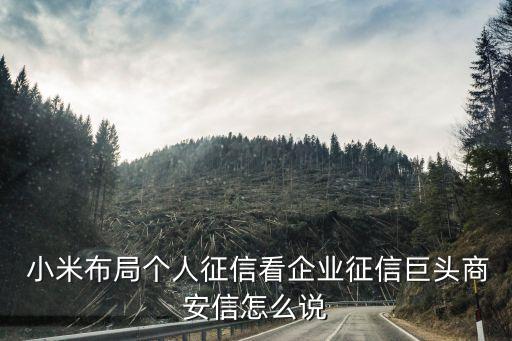  小米布局個(gè)人征信看企業(yè)征信巨頭商安信怎么說(shuō)