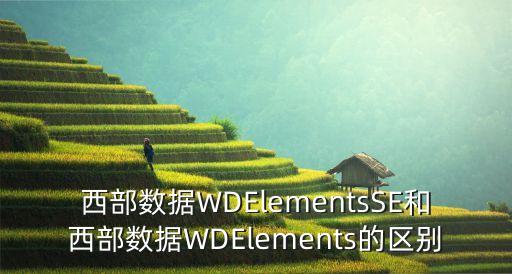 西部數(shù)據(jù)WDElementsSE和西部數(shù)據(jù)WDElements的區(qū)別