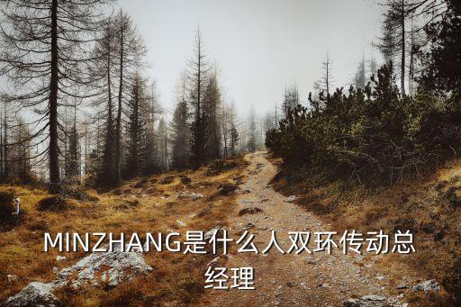 MINZHANG是什么人雙環(huán)傳動(dòng)總經(jīng)理