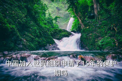 中國(guó)加入世貿(mào)組織申請(qǐng)了15年的保護(hù)期嗎