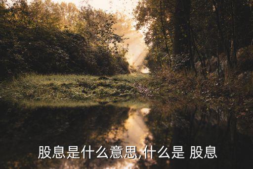  股息是什么意思,什么是 股息