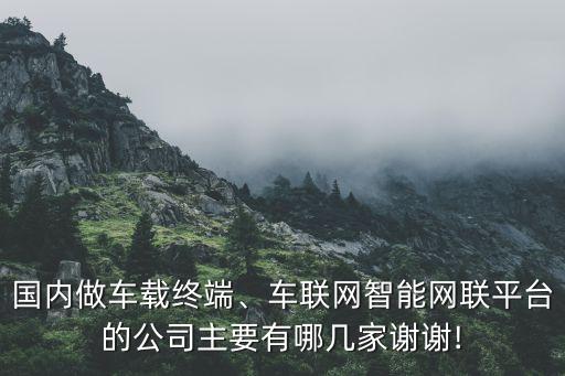 國內做車載終端、車聯(lián)網智能網聯(lián)平臺的公司主要有哪幾家謝謝!