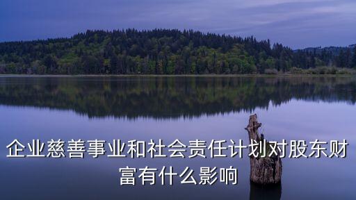 企業(yè)慈善事業(yè)和社會(huì)責(zé)任計(jì)劃對股東財(cái)富有什么影響