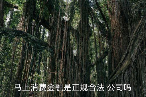 馬上消費(fèi)金融是正規(guī)合法 公司嗎