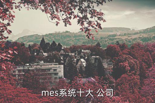 mes系統(tǒng)十大 公司