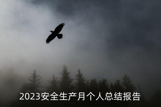 2023安全生產(chǎn)月個(gè)人總結(jié)報(bào)告