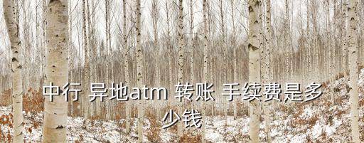 中行 異地atm 轉(zhuǎn)賬 手續(xù)費(fèi)是多少錢