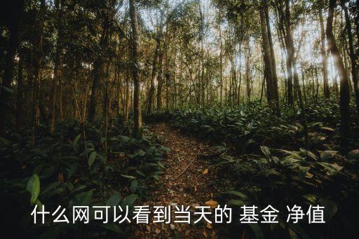 什么網(wǎng)可以看到當(dāng)天的 基金 凈值