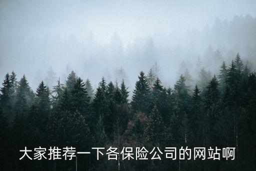 大家推薦一下各保險(xiǎn)公司的網(wǎng)站啊