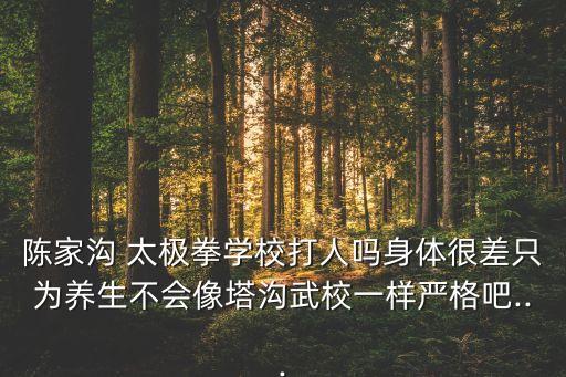 陳家溝 太極拳學(xué)校打人嗎身體很差只為養(yǎng)生不會(huì)像塔溝武校一樣嚴(yán)格吧...