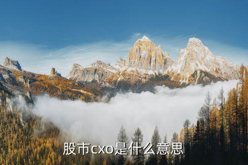 股市cxo是什么意思