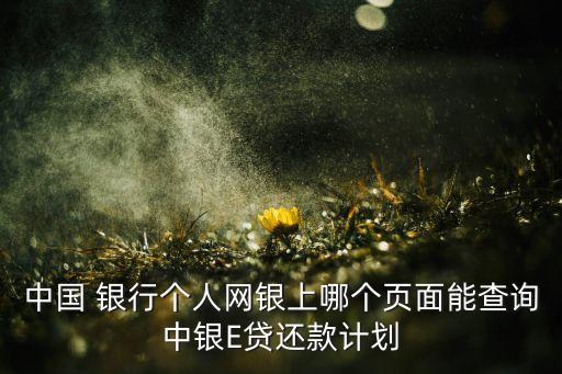 中國 銀行個人網(wǎng)銀上哪個頁面能查詢中銀E貸還款計劃