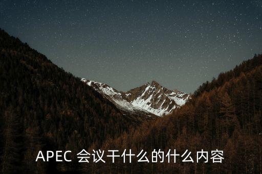 APEC 會議干什么的什么內(nèi)容