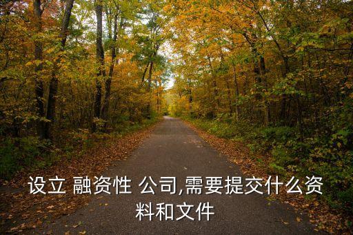 設(shè)立 融資性 公司,需要提交什么資料和文件