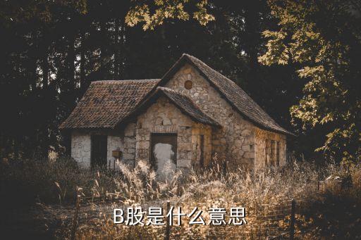 B股是什么意思