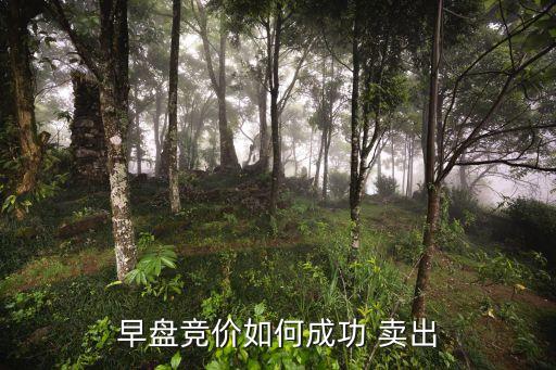 操盤(pán)手是怎樣賣出股票的,怎樣成為股票操盤(pán)手