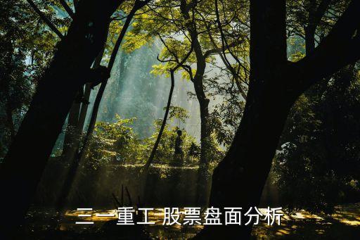 三一重工 股票盤(pán)面分析