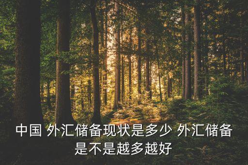 中國 外匯儲(chǔ)備現(xiàn)狀是多少 外匯儲(chǔ)備是不是越多越好