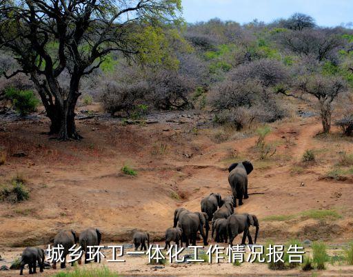 好時(shí)中國(guó)負(fù)責(zé)人,好時(shí)退出中國(guó)了嗎