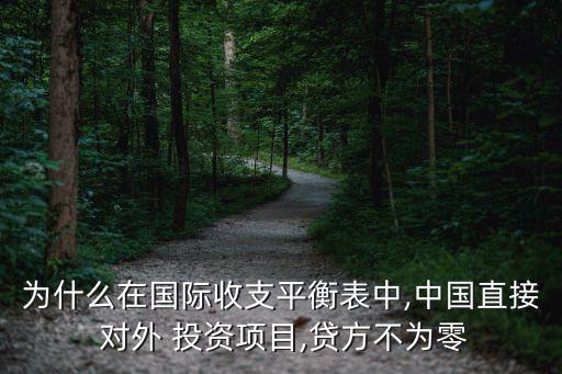 為什么在國際收支平衡表中,中國直接 對外 投資項(xiàng)目,貸方不為零