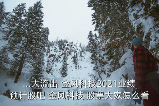 ...大流出 金風科技2021業(yè)績預計股吧 金風科技 股票大家怎么看