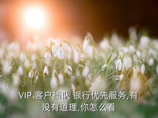 銀行vip客戶不排隊合法嗎,銀行客戶排隊過久投訴案例