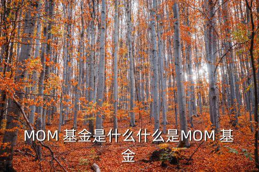 MOM 基金是什么什么是MOM 基金