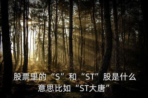  股票里的“S”和“ST”股是什么意思比如“ST大唐”