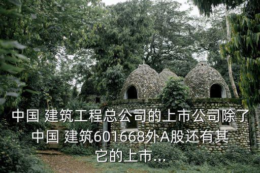 中國 建筑工程總公司的上市公司除了中國 建筑601668外A股還有其它的上市...