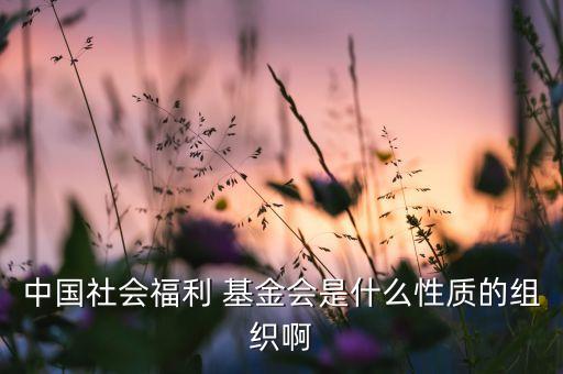 中委基金是什么,中委候補(bǔ)是什么級(jí)別