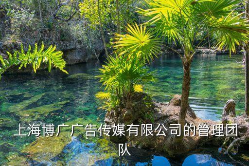  上海博廣廣告?zhèn)髅接邢薰镜墓芾韴F(tuán)隊(duì)