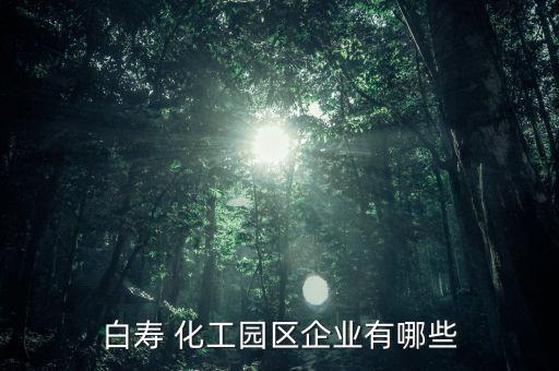 香港建滔江蘇實友化工有限公司