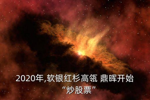 2020年,軟銀紅杉高瓴 鼎暉開始“炒股票”